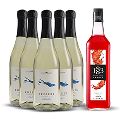 Alkoholfreier Spritz vom Bodensee